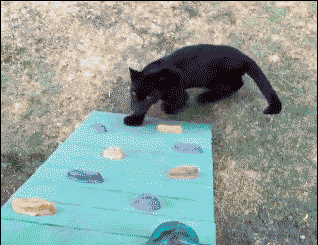 ��������� � ��������