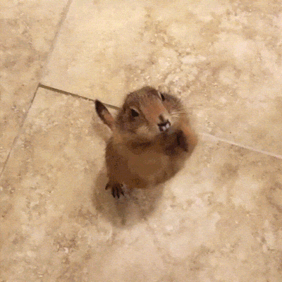 ����� ����� �������� ����� ����� �����