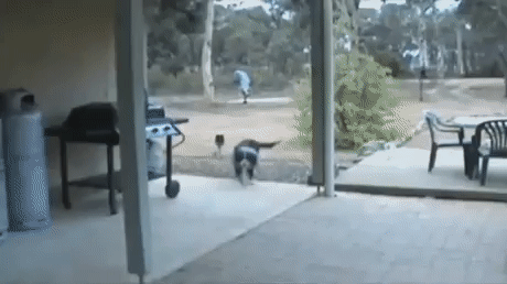 ����� ������� �� ��� ������, � ����� �������. ����� ���� ������� ������ �� ţ �����������.