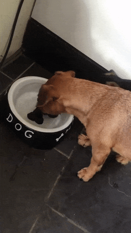 �� ��� ��?..