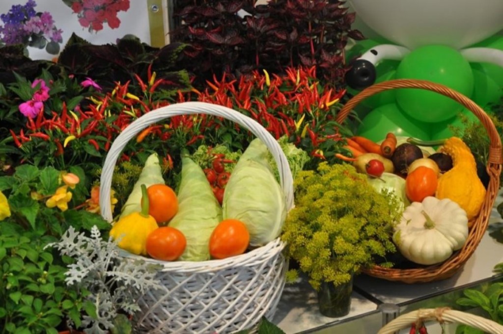 ���� �������. ������ �� ������� ������������� ��������. ������, ������, �����, �����, ������� ����, ��������� ��� � ������-2