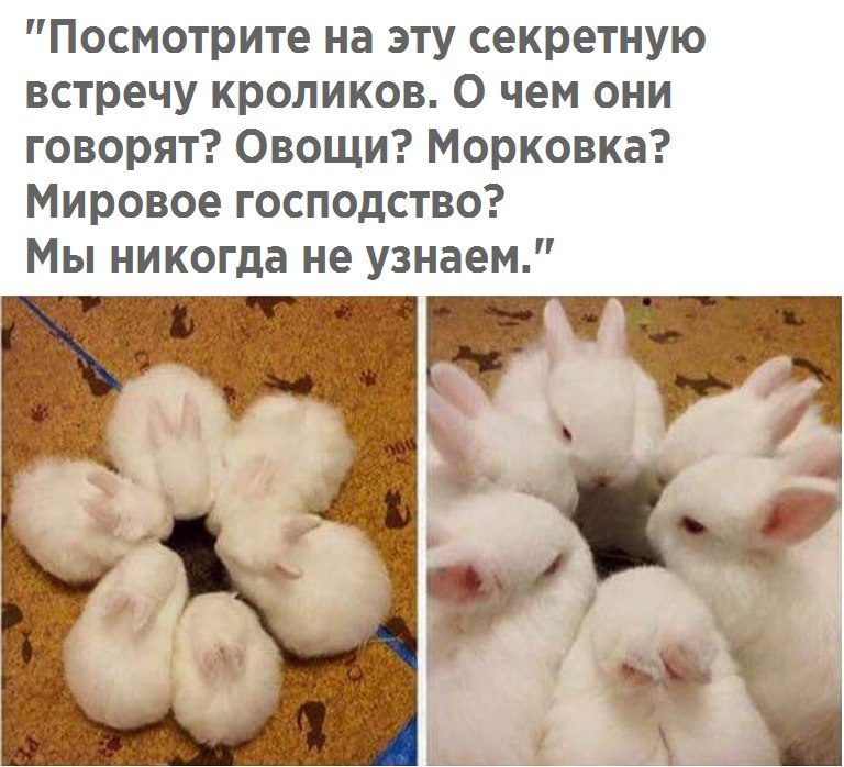 ������� ����