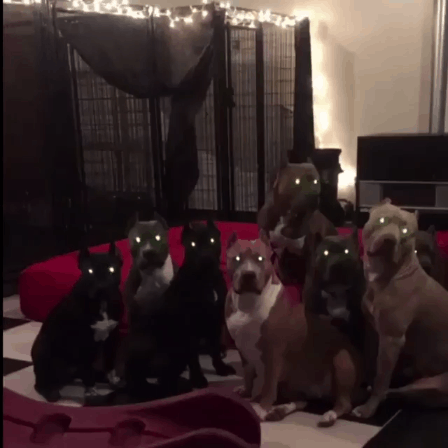 ��� �������� ������ ��� ����� ������� 