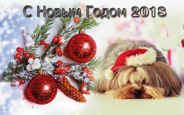  � ����� �����!