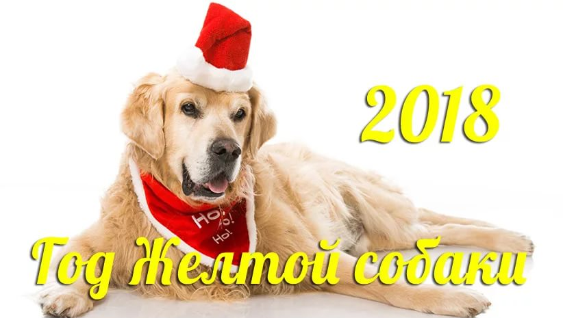 ��� ������, ������ ������ 2018!