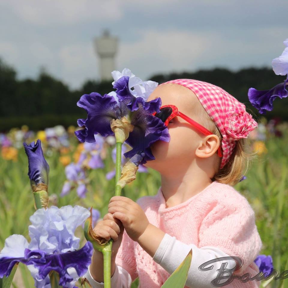 ���� �������. ����� � ����������� �����. �������� ����� �� �������. ��������� �� ���� 2018�