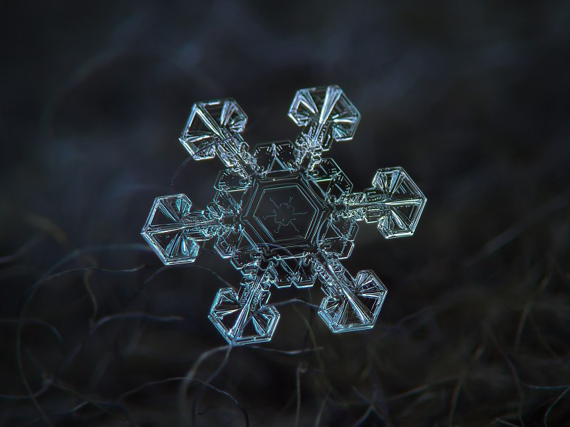 ��������������� ��������, ��� ��������� ��� �����������