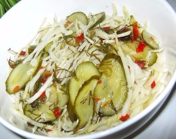 ����� ������� ����� 