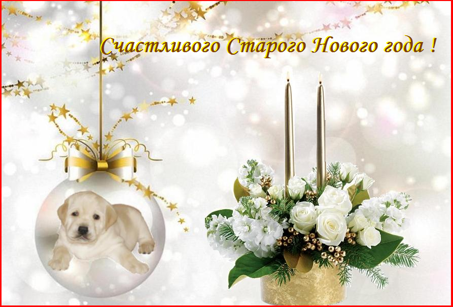 ���  �  ������  ������  ���� !