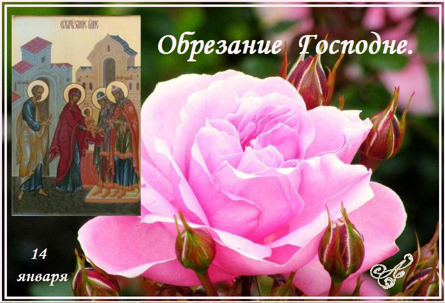 �������� ����������� ��� ! ��� ������ ���� ! ����� ����� ������� ! ������� ����� ����� !  