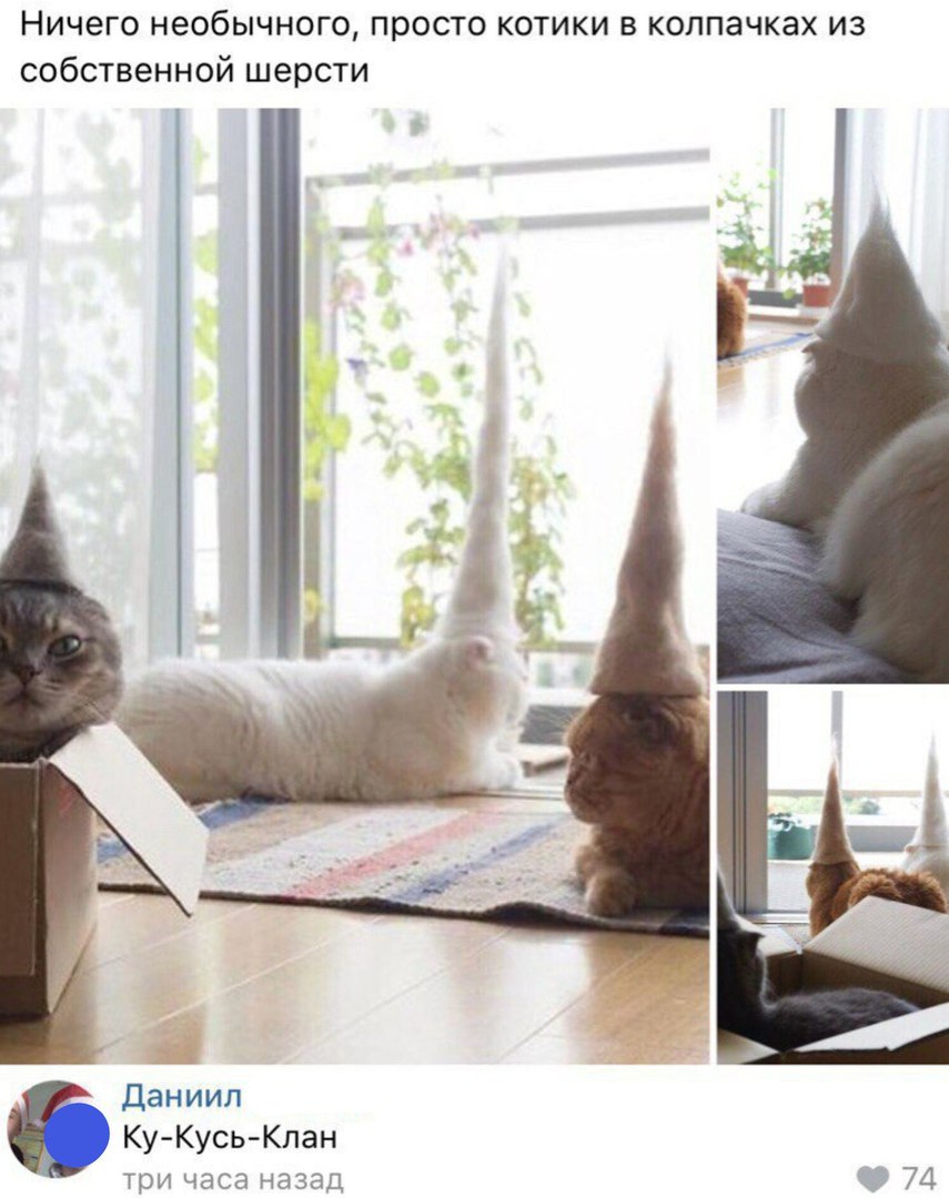 ������� ����