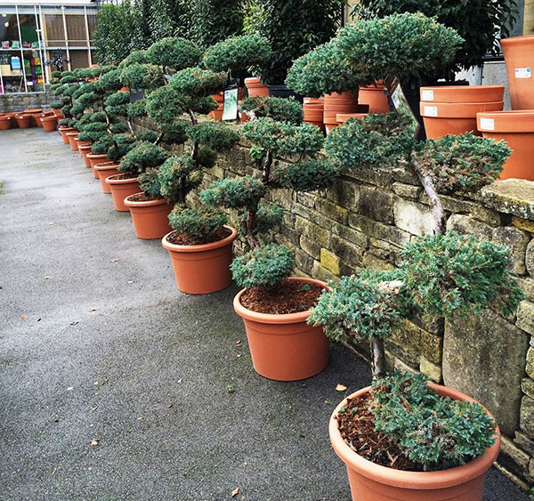 ���� �������. ������� �������� ��� ����. ���������, S-�����,����������. ���������� �� ����� 2018� 