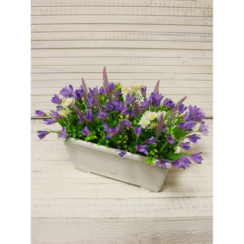 �������� �������� �� ���� ����������� ����������, ������� �������� ����� ��������!