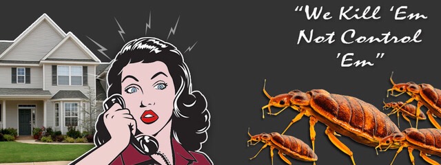 �����������, ����� �� �������.