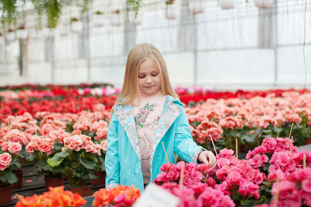 [b] C��� �������. ������� ������ �� Bembi. ����������. ������������ �������. ��������������� ��������. ���� 1/2018[/b]