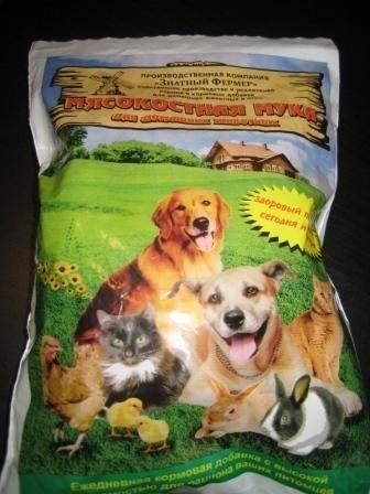 ���� �� 31.01. ����������� ���� - �������� ����������. ������������������ ���������������� ����������. ���������� ����� ��������! ����� ������