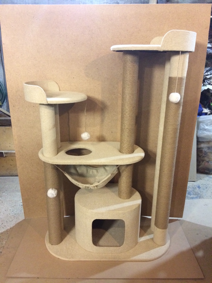 ���� �� 02.02. ������, �������, ��������� �� ����� ������. ����������, ��������� ��� �����, �����������, ������, ��������� ��� ����� - ������� ������ ���-55