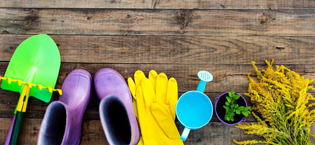 ��� ��������! �ӣ ��� ������� � �������� ��������! �ӣ ��� �������. ���������, ����. ��������, ��������� �����, ������, ��������� �������, �����, ����� � ��. ����� 62