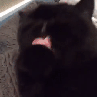 ����� �������, ��� ����� ������ ����� �������