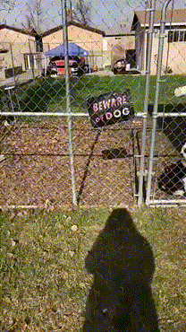 ���������, ������!