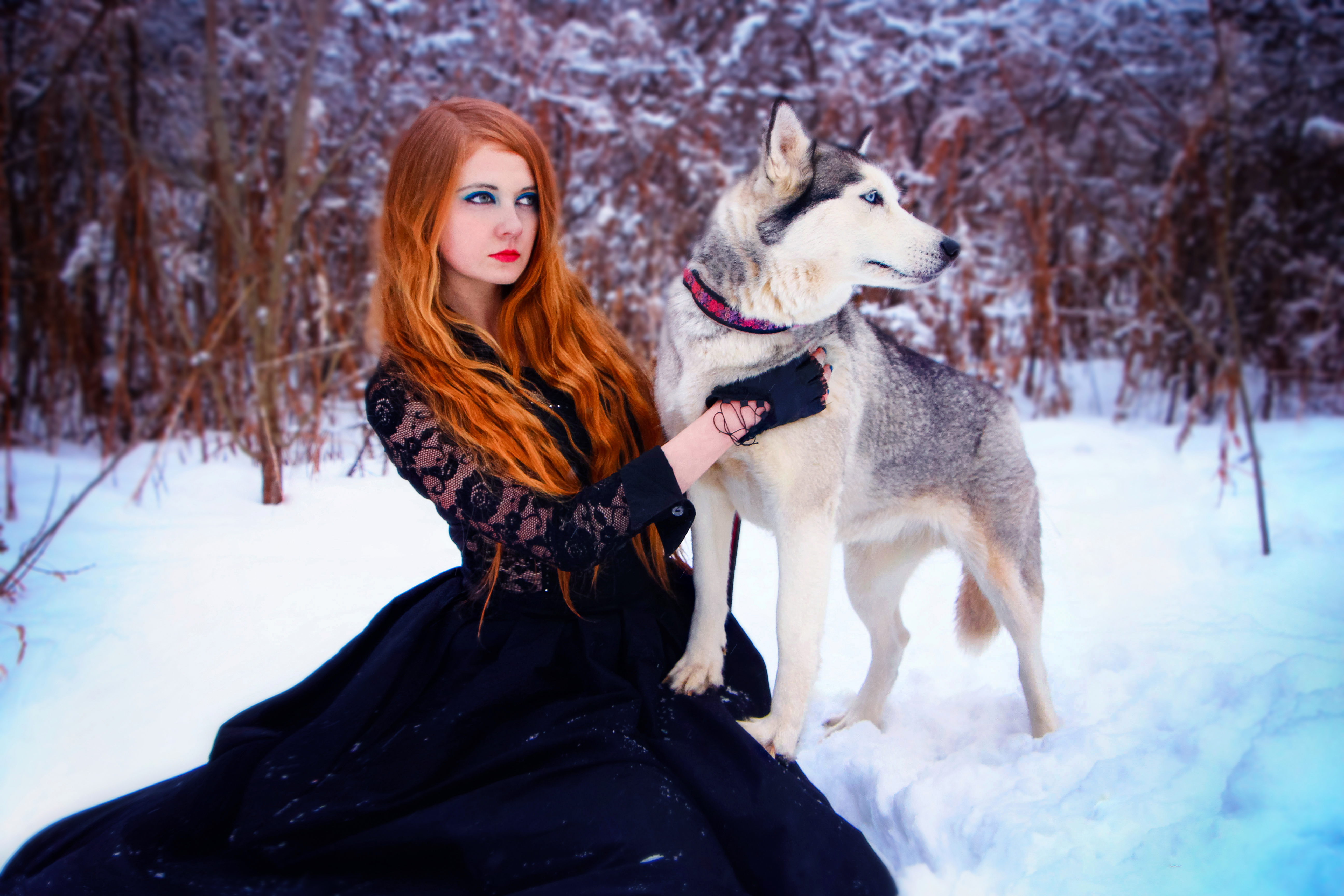 �������� ����