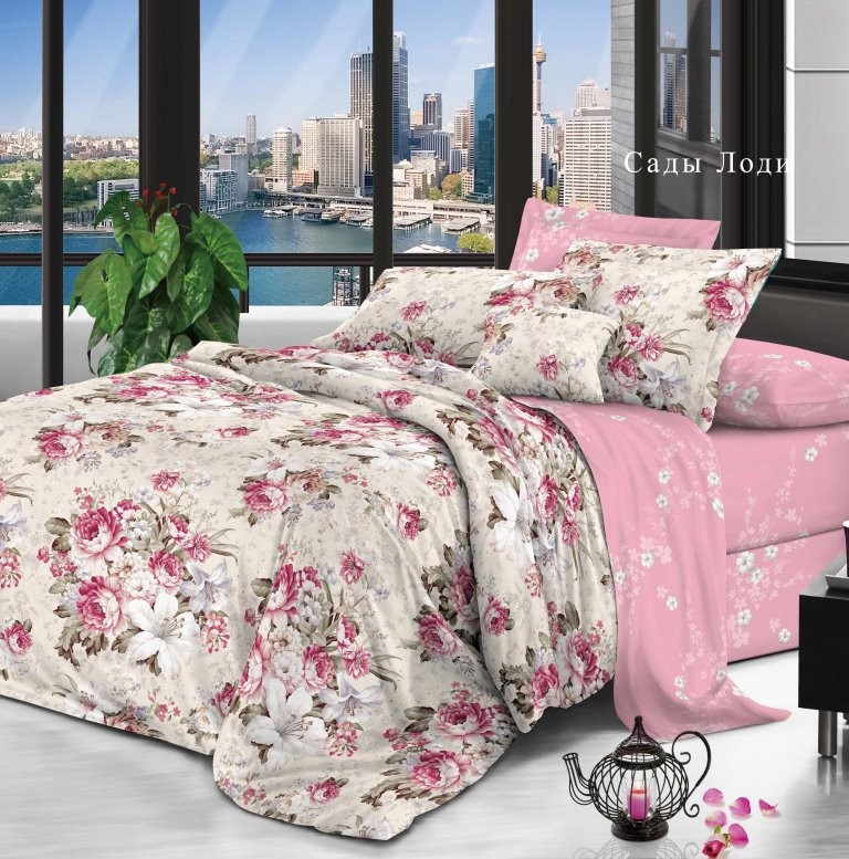 ���� �� 24.01. ���������� ����� �&� �� ����� ����- ����� ������� -��������-����!