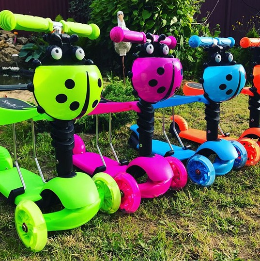 ������� ��������! ��������� � �����! 