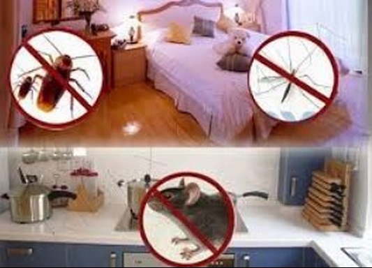 �������������� ������������! 