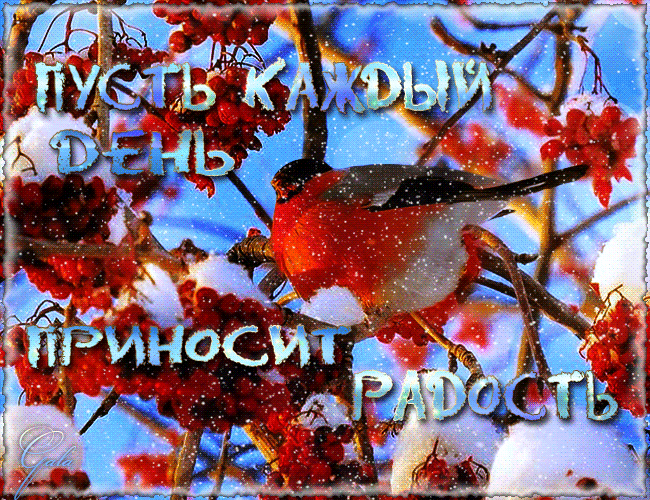 ������� 28.01. ��� ��! �������� ��, �ӣ � �������. ��������- ���������� �����, ������, �������, ��������� � ����!