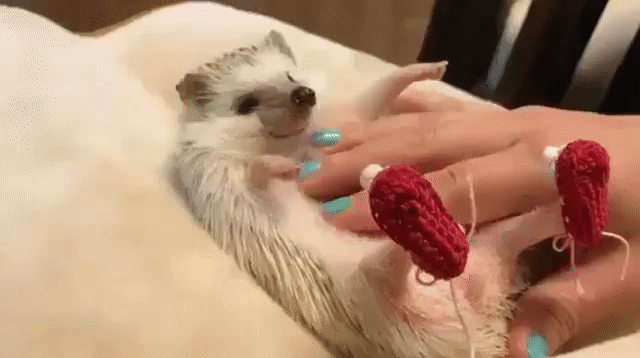 ������ ������ ������� ������ ��������� ������ � ������� ��������