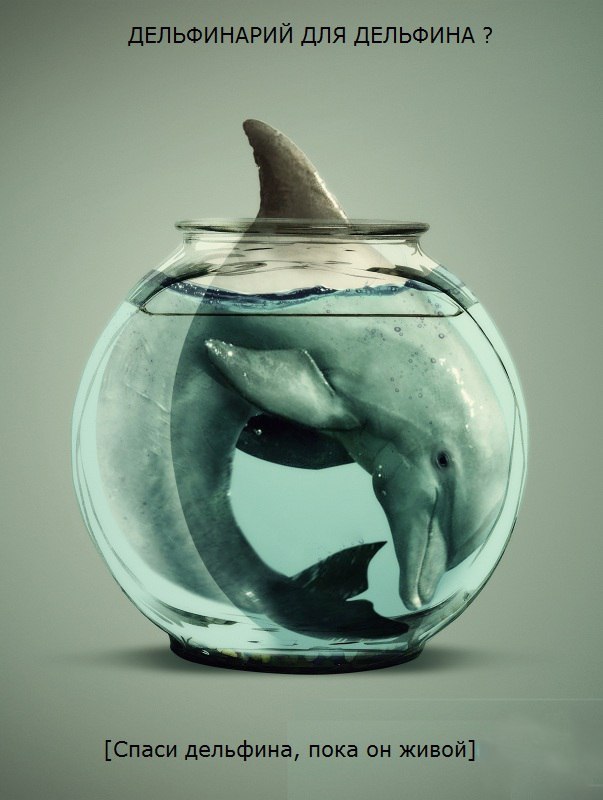 �������� � ������ 