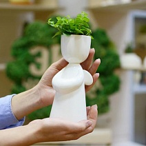 ������������ ������� �� 8 ����� + ����� ��� ������ ����, �����) ----> �������� ������) 