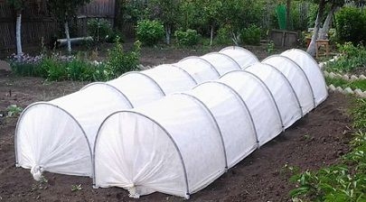 ���� �������. ������� �� �������������- ������ ������� �������� - ��� �� ����� ������������ �����������. � ����� ������� �������, ����, �������� ��������, ����� � ��������� ��� ��������, ��������������, ����� �� ��������. 