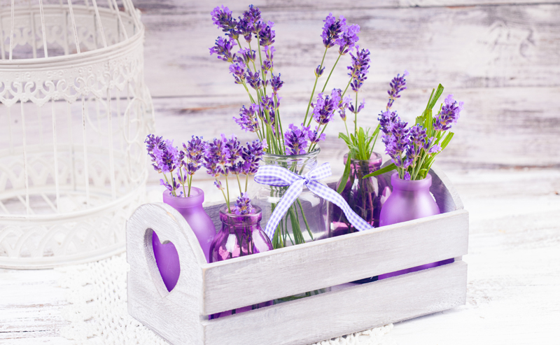 ����, ��������, ������, �����, �����, ��������, ������� - �� 10 ������! ������� �� 30 ������! ��������� � ����������� ��� ��������� � ����������!