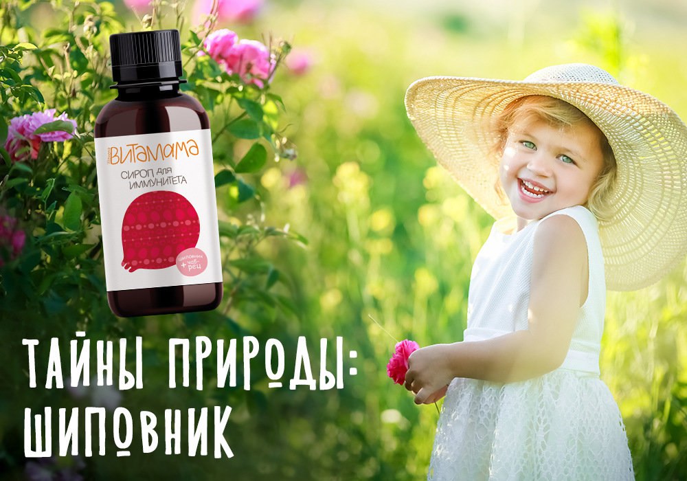 ����� �������: �������� – ������ ���� ���������