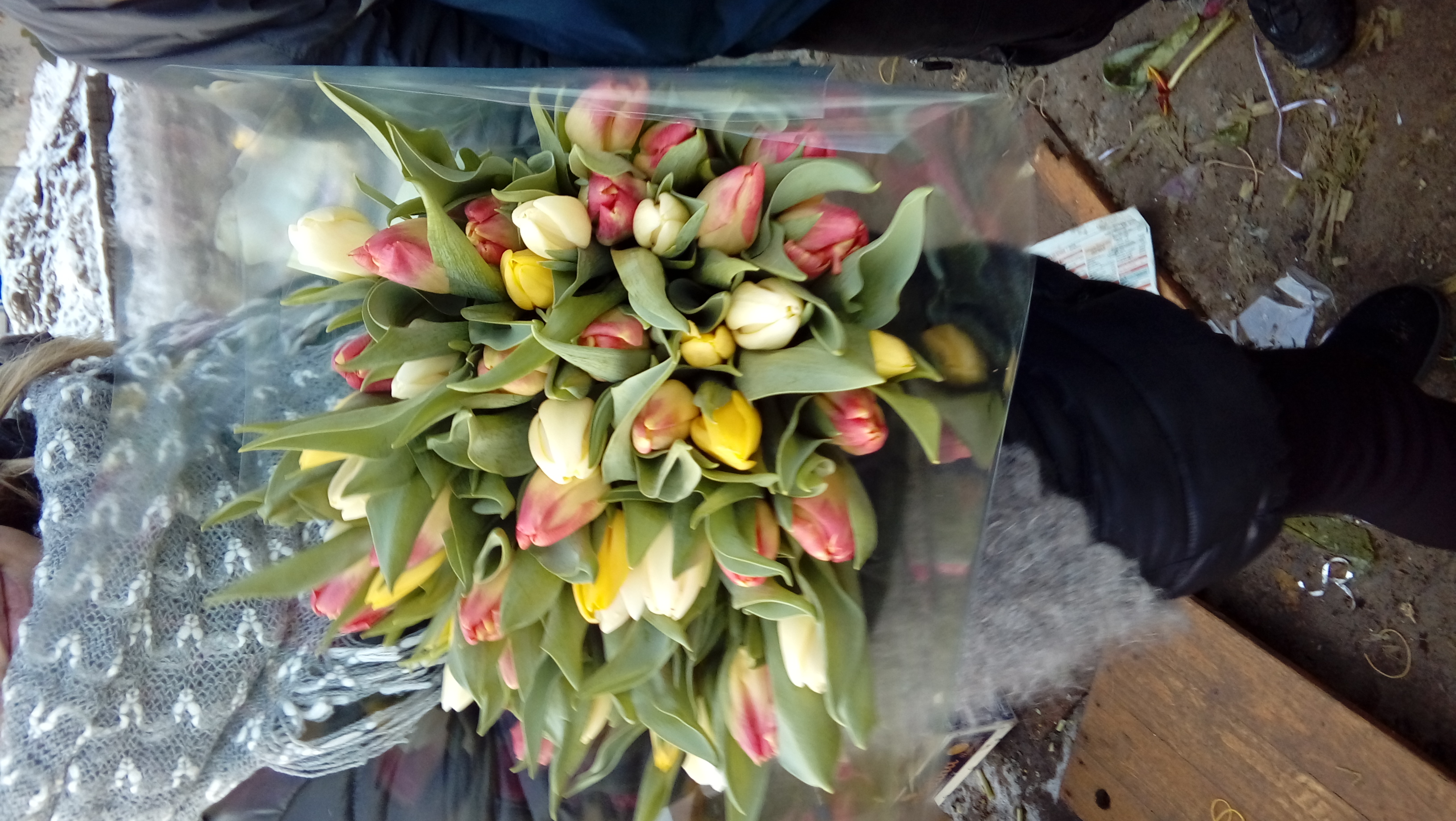 �������� 2018 � 8 �����