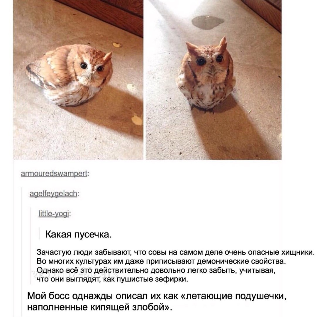 ������� �� ���������