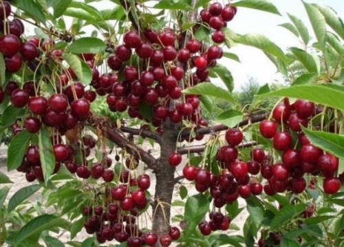 ���� ������� �� 4.02. �����*������. �������� ������� � ������������ ���������� ������� ������ ������ ��� � ���������. ����� ������ �� ����� 2018