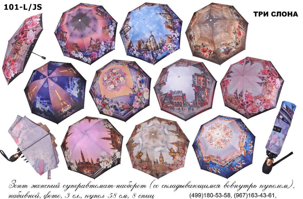 ���� �������. �������� ����� ��*� ��*���. ������������������ � ��������. ����� 1.  ������� 2018����