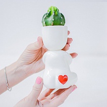  ����� ������������ � ������������ ������� �� 8 �����, �������� ������) ������������. ������������� ������. ����� 21