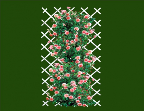 ������� ����������� �����, ������� 190�110�� � ������� - ��������! ����� ����������, �������, �� ��������, �� ���������! 1230���.