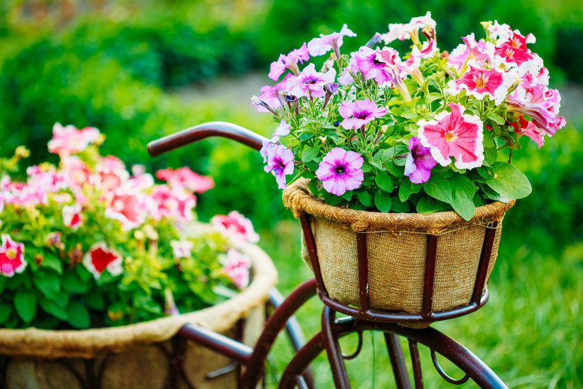 ��� �����! �� ���� ������������ ������ :). ����������. ������ ������ � ������� �������, �������� �����. �������� ��������, ���������� ������� ��������������� � ������ �������! � ��� �� ������� � ����������� ����� ��� ��������� ��������. 