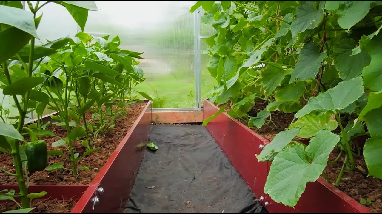 ���� �� 20 �������. ���������� ��� ������ � �����, ��������� ������� - �����������, �������, �������! ������� ������, ����� �� ������������ ������. ����� 2-18.