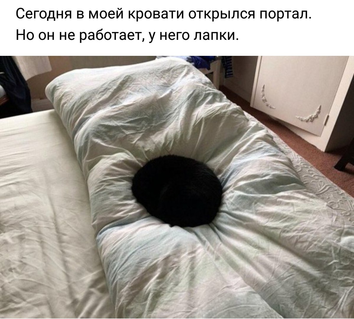 �����