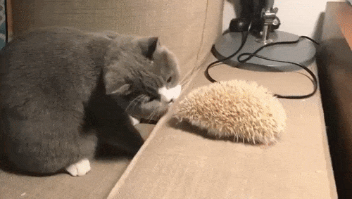 �� ��� �� � ����� ��������? ���?!