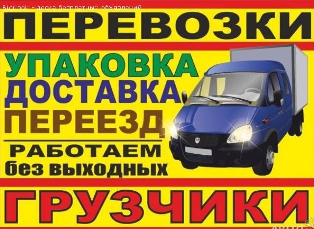 ����� �������� ������ ������