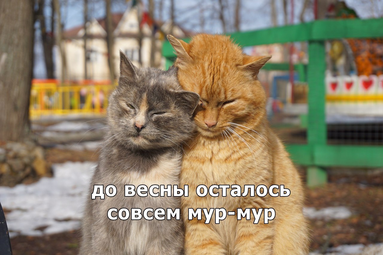 � ����