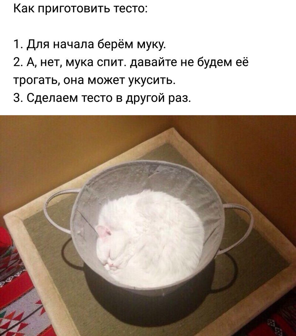 �����