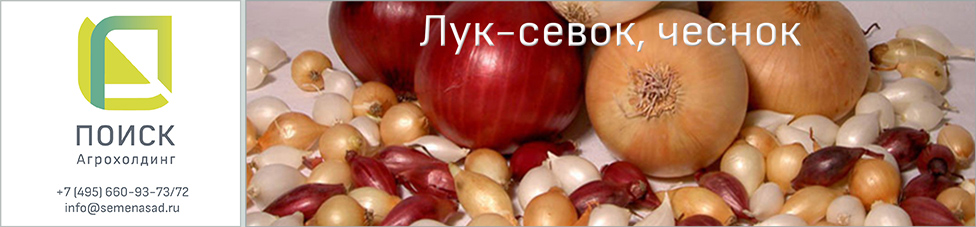 ���� ������� �� 03.03. - ���o��r�� �o�ck -���-����� 2018