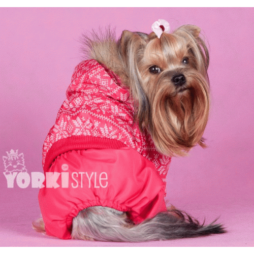 ���� �������. ������ � ���������� ��� ����� �� Lim@rgy.***�������� �����!!!***